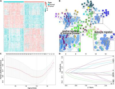 Identification of a Prognostic Immune Signature for Esophageal Squamous Cell Carcinoma to Predict Survival and Inflammatory Landscapes